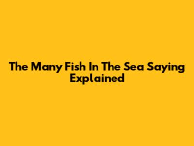 The 'Many Fish In The Sea' Saying Explained